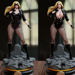 Black Canary 3D Model