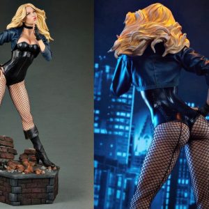 Black Canary 3D Model